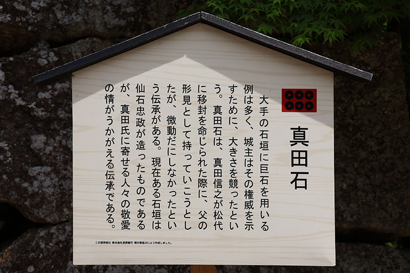New Architectural Voyage