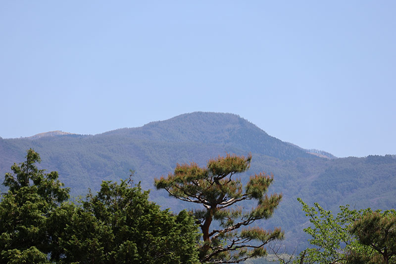 New Architectural Voyage