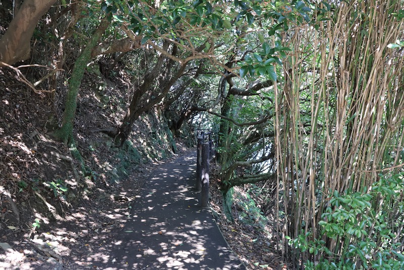 New Architectural Voyage