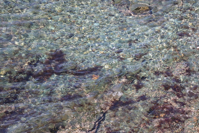 New Architectural Voyage