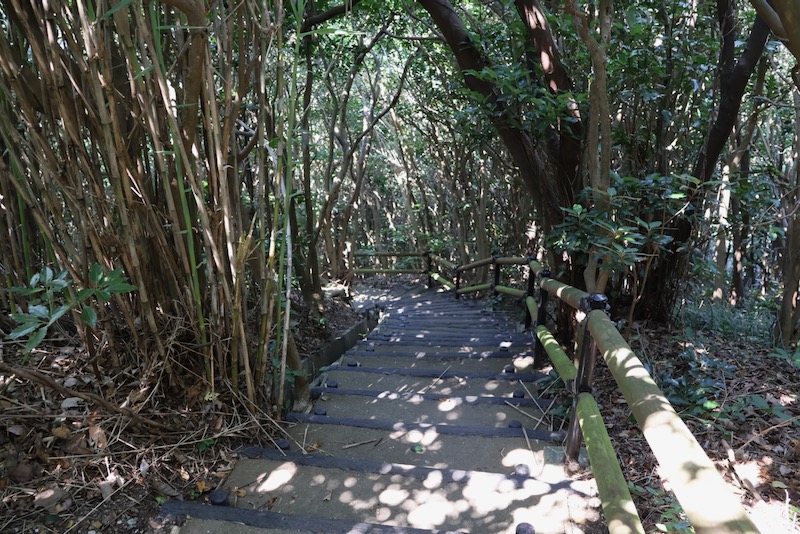 New Architectural Voyage