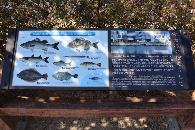 New Architectural Voyage