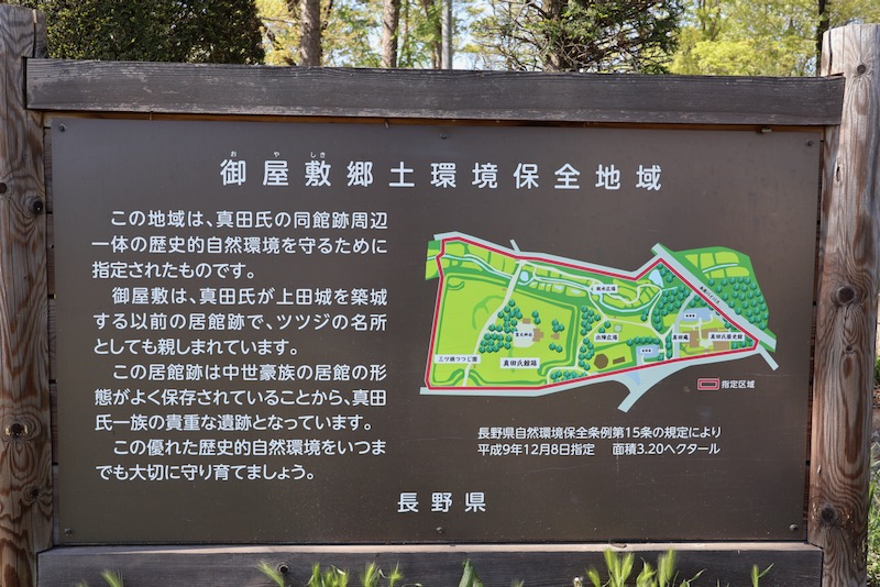 New Architectural Voyage