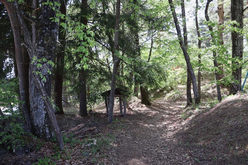 New Architectural Voyage