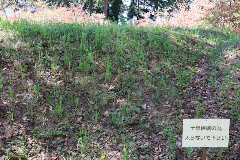 New Architectural Voyage