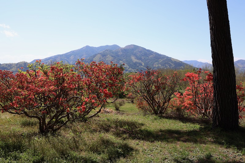 New Architectural Voyage