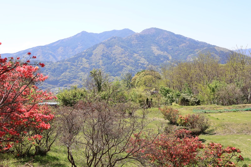 New Architectural Voyage