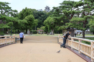 New Architectural Voyage