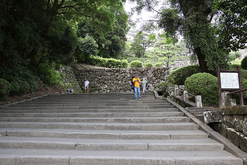 New Architectural Voyage