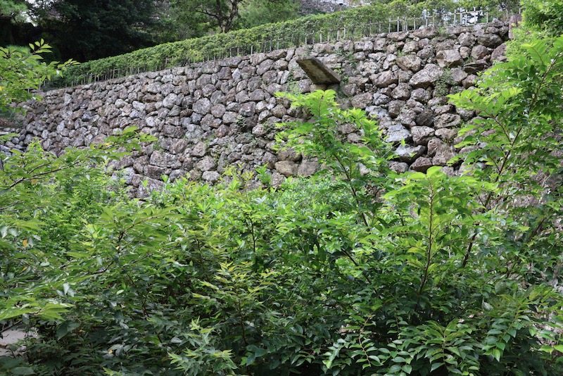 New Architectural Voyage