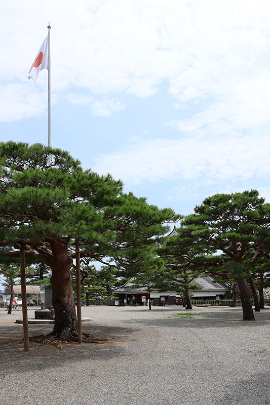 New Architectural Voyage