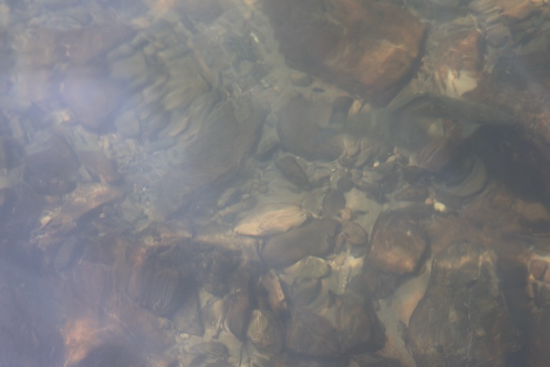 New Architectural Voyage