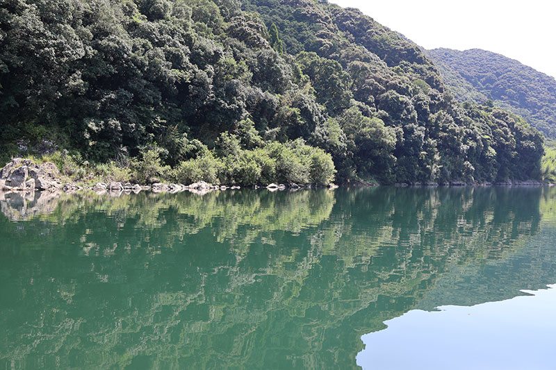 New Architectural Voyage